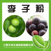 李子粉