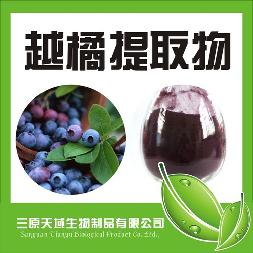 越橘提取物10:1