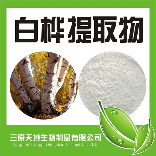 白桦树皮提取物98%