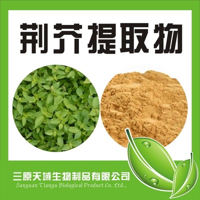 荆芥提取物10:1