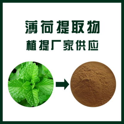 薄荷提取物