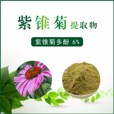紫锥菊提取物 紫锥菊多酚6%
