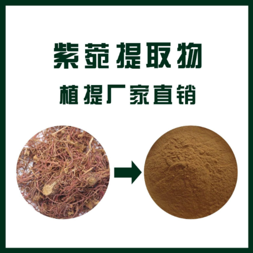 紫菀提取物
