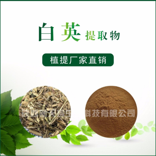 白英提取物