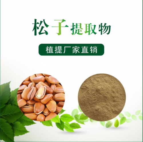 松子提取物