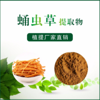 蛹虫草提取物 虫草素10%