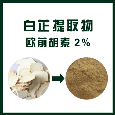 白芷提取物 欧前胡素2%