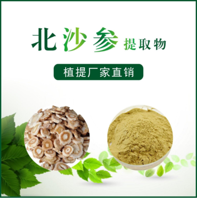 北沙参提取物