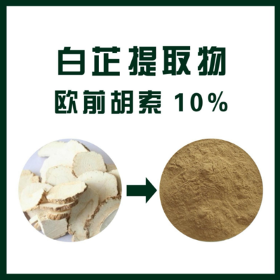 白芷提取物 欧前胡素10%