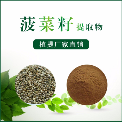 菠菜籽提取物