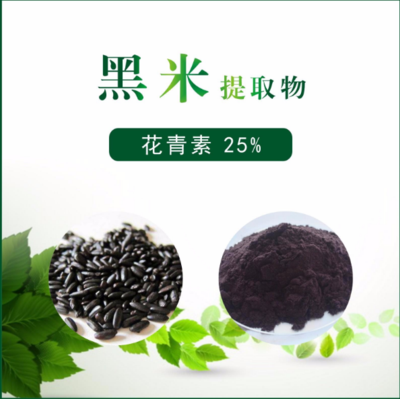 黑米提取物 黑米花青素25%