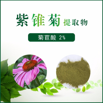 紫锥菊提取物 菊苣酸2%
