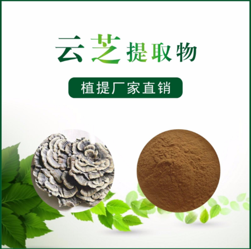 云芝提取物
