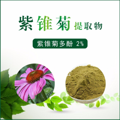 紫锥菊提取物 紫锥菊多酚2%