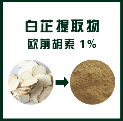 白芷提取物 欧前胡素1%