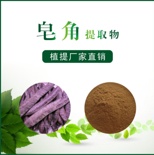 皂角提取物