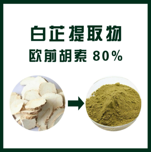 白芷提取物 欧前胡素80%