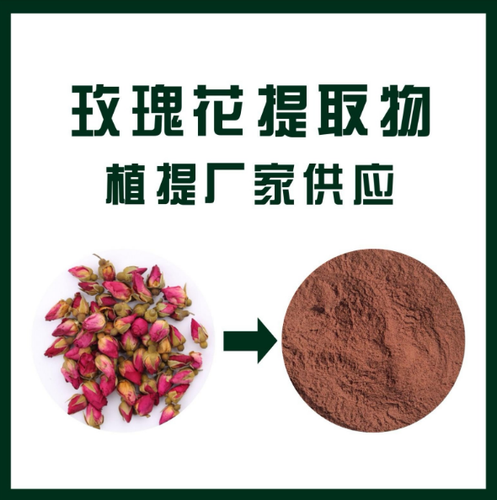 玫瑰花提取物