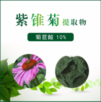 紫锥菊提取物 菊苣酸10%