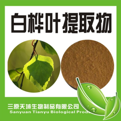 白桦叶提取物